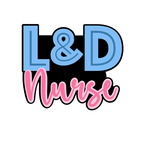 Labor & Delivery Nurse Badge Reel