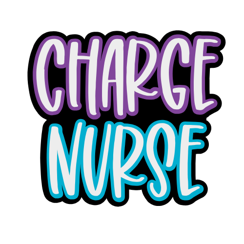 Charge Nurse Badge Reel